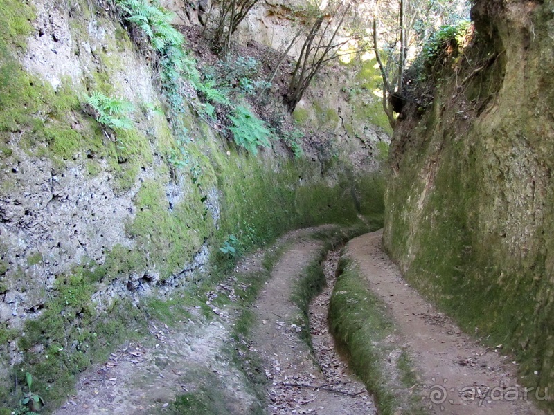 Италия в камне: Рим - Витербо - Гроссето - Питильяно - Сорано ... и опять Рим. Часть 4