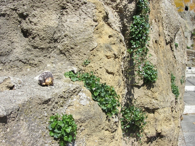 Италия в камне: Рим - Витербо - Гроссето - Питильяно - Сорано ... и опять Рим. Часть 4