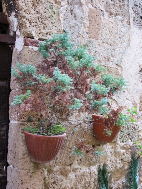 Италия в камне: Рим - Витербо - Гроссето - Питильяно - Сорано ... и опять Рим. Часть 4