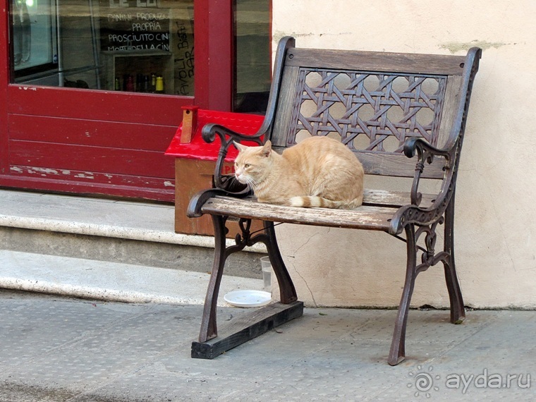 Италия в камне: Рим - Витербо - Гроссето - Питильяно - Сорано ... и опять Рим. Часть 4