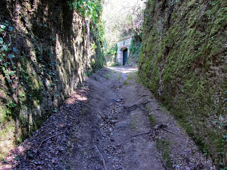 Италия в камне: Рим - Витербо - Гроссето - Питильяно - Сорано ... и опять Рим. Часть 4