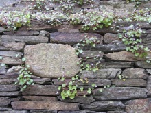 Испанская "Камчатка" - Галисия. Городские путешествия. Часть 13