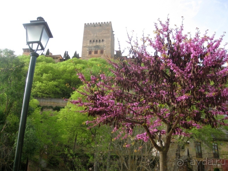 Андалусия - разочарования и открытия (от Гранады до Хаэна). День 2 до 14 часов.