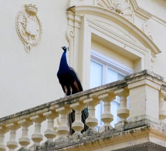 Андалусия - разочарования и открытия (от Гранады до Хаэна). День 2 до 14 часов.