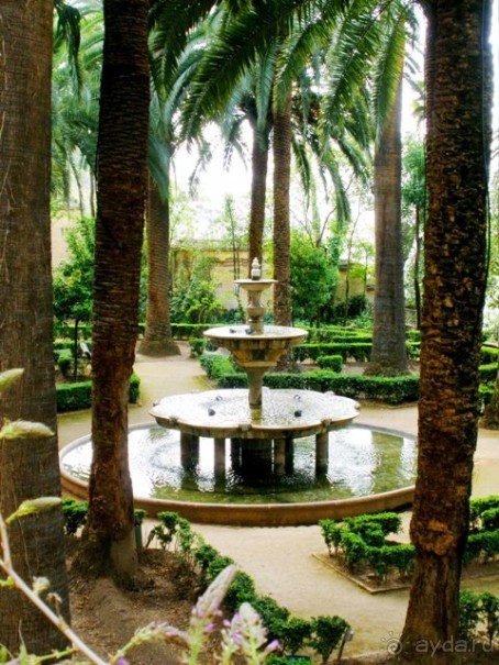 Андалусия - разочарования и открытия (от Гранады до Хаэна). День 2 до 14 часов.