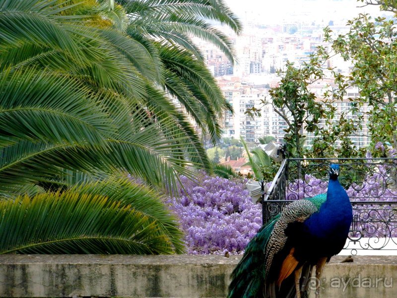 Андалусия - разочарования и открытия (от Гранады до Хаэна). День 2 до 14 часов.