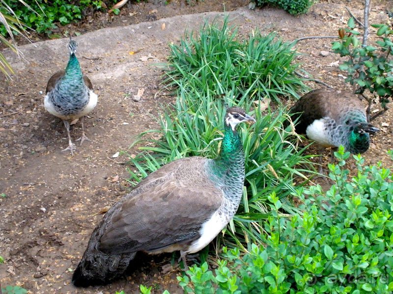 Андалусия - разочарования и открытия (от Гранады до Хаэна). День 2 до 14 часов.