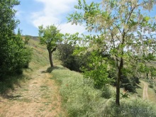 Провинциальная Испания - Сория и окрестности (две Кастилии, Наварра и Арагон). Часть 7