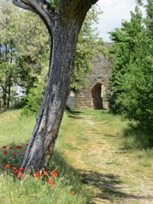 Провинциальная Испания - Сория и окрестности (две Кастилии, Наварра и Арагон). Часть 7