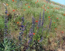 Провинциальная Испания - Сория и окрестности (две Кастилии, Наварра и Арагон). Часть 7