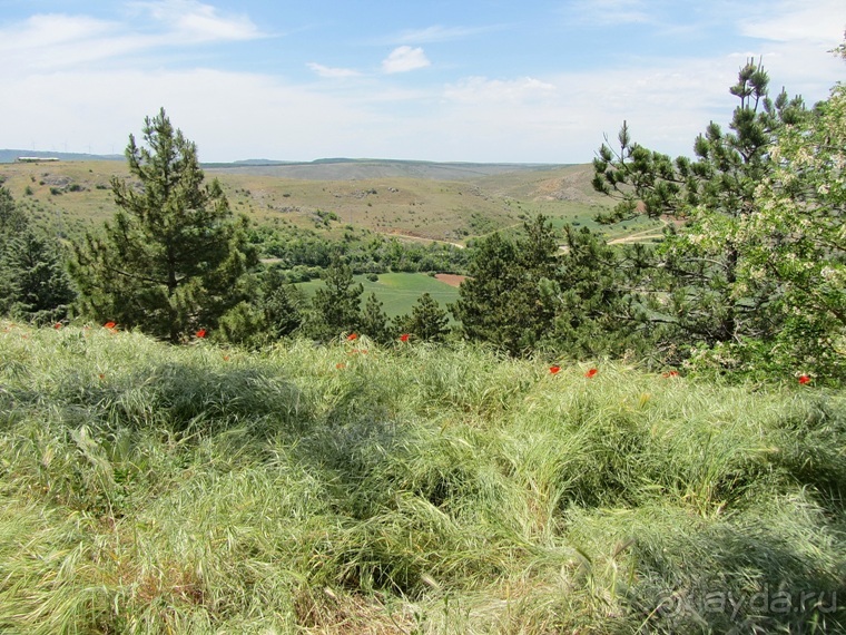 Провинциальная Испания - Сория и окрестности (две Кастилии, Наварра и Арагон). Часть 7