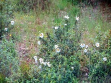 Испанская "Камчатка" - Галисия. Городские путешествия. Часть 2