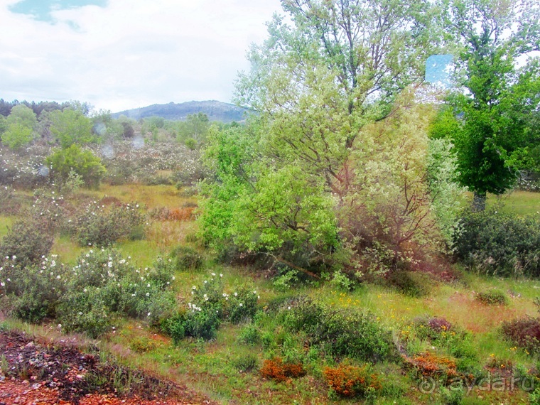 Испанская "Камчатка" - Галисия. Городские путешествия. Часть 2