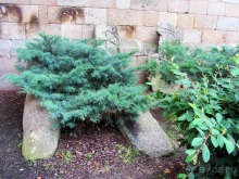 Испанская "Камчатка" - Галисия. Городские путешествия. Часть 2