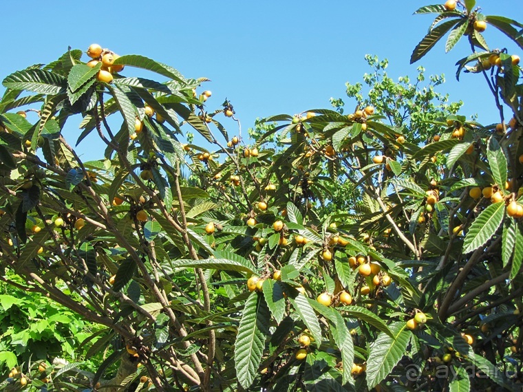 Испанская "Камчатка" - Галисия. Городские путешествия. Часть 2