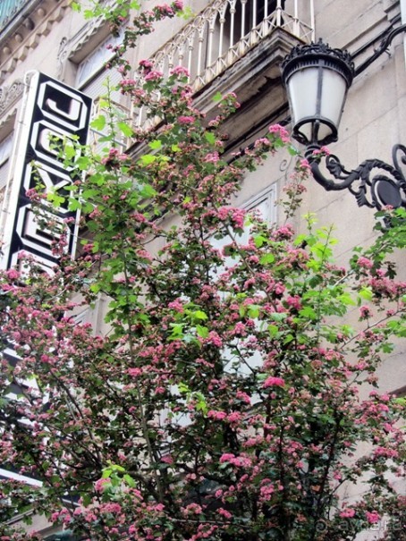 Испанская "Камчатка" - Галисия. Городские путешествия. Часть 2