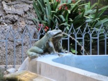 Тайны Барселоны, или была ли жизнь до Гауди ? Часть 3