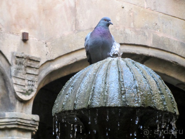 Тайны Барселоны, или была ли жизнь до Гауди ? Часть 3