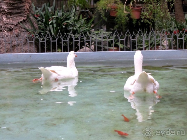 Тайны Барселоны, или была ли жизнь до Гауди ? Часть 3