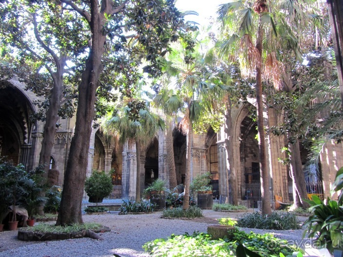 Тайны Барселоны, или была ли жизнь до Гауди ? Часть 3