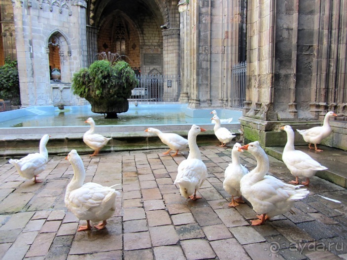 Тайны Барселоны, или была ли жизнь до Гауди ? Часть 3