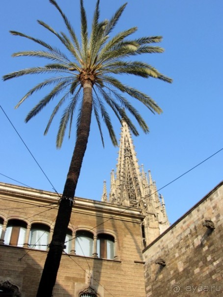 Тайны Барселоны, или была ли жизнь до Гауди ? Часть 3