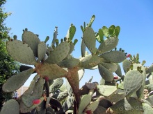 Санторинский кальдероскоп. Белое на голубом. Голубое на белом. Часть 8