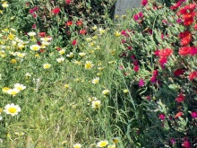 Санторинский кальдероскоп. Белое на голубом. Голубое на белом. Часть 8