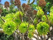 Санторинский кальдероскоп. Белое на голубом. Голубое на белом. Часть 8