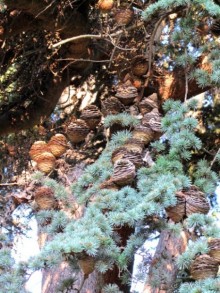 Испанские севера - от Бильбао до Хихона: необычная Испания. Часть 2