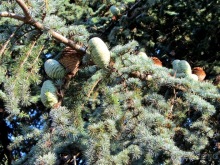 Испанские севера - от Бильбао до Хихона: необычная Испания. Часть 2