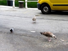 Испанские севера - от Бильбао до Хихона: необычная Испания. Часть 2