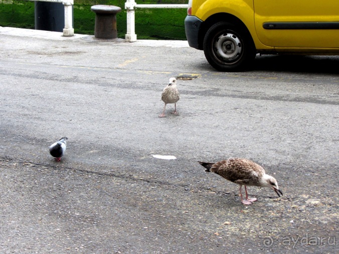Испанские севера - от Бильбао до Хихона: необычная Испания. Часть 2