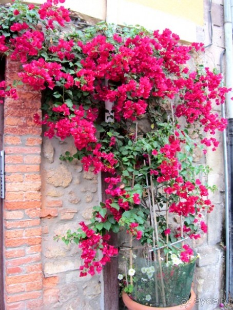 Испанские севера - от Бильбао до Хихона: необычная Испания. Часть 2