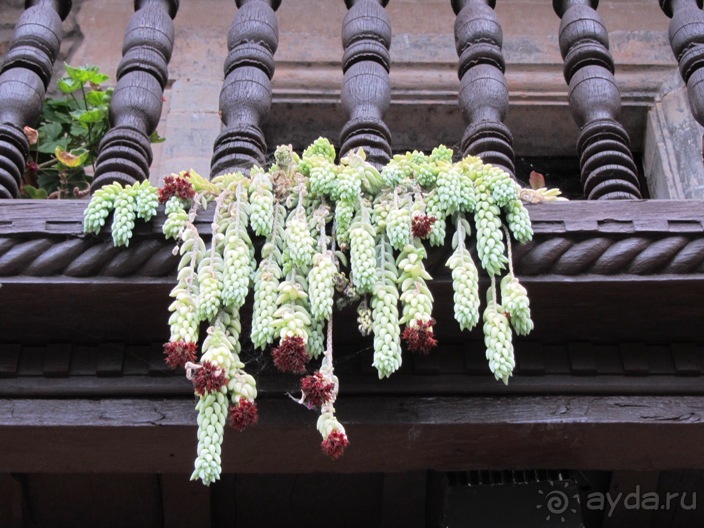 Испанские севера - от Бильбао до Хихона: необычная Испания. Часть 2