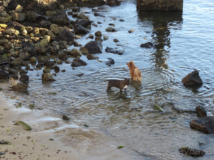 Испанские севера - от Бильбао до Хихона: необычная Испания. Часть 2