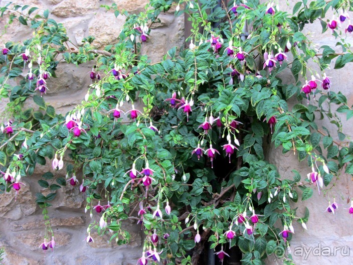 Испанские севера - от Бильбао до Хихона: необычная Испания. Часть 2