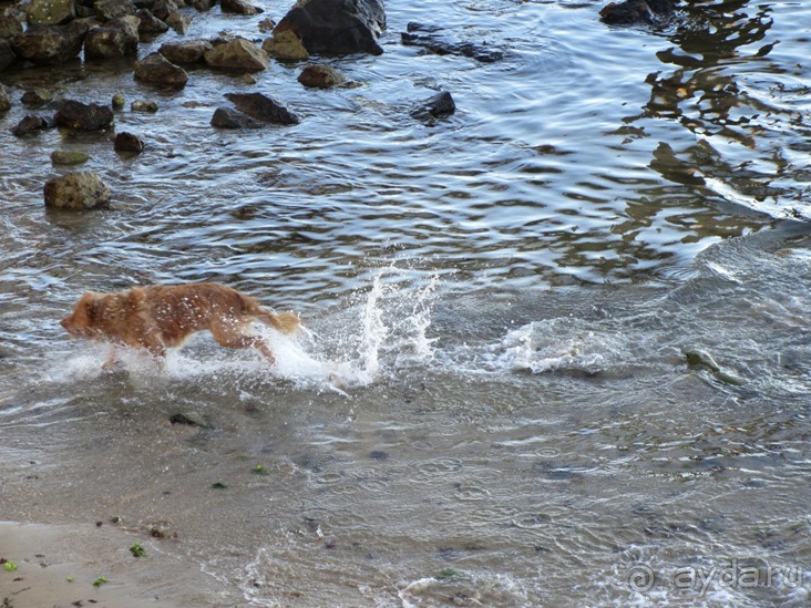Испанские севера - от Бильбао до Хихона: необычная Испания. Часть 2