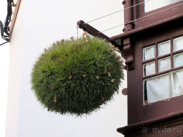 Испанские севера - от Бильбао до Хихона: необычная Испания. Часть 2