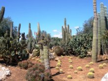 Снова в Испанию, или прогулки по Майорке. День 4.