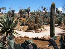 Снова в Испанию, или прогулки по Майорке. День 4.