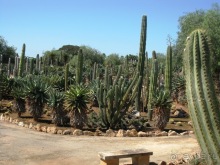 Снова в Испанию, или прогулки по Майорке. День 4.