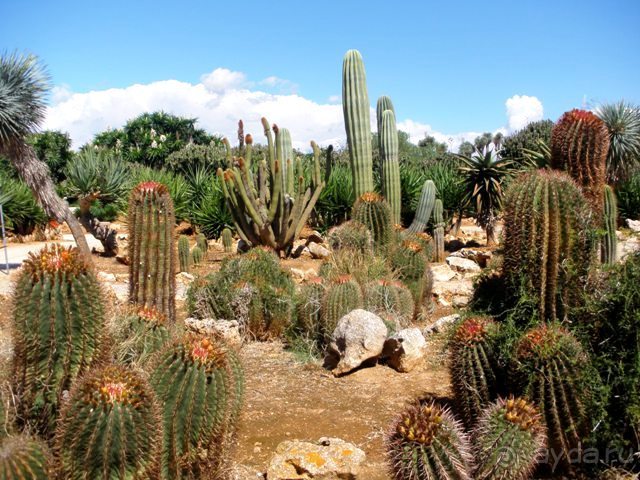 Снова в Испанию, или прогулки по Майорке. День 4.