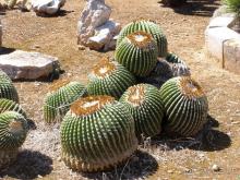 Снова в Испанию, или прогулки по Майорке. День 4.