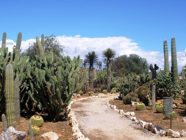 Снова в Испанию, или прогулки по Майорке. День 4.