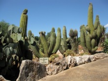 Снова в Испанию, или прогулки по Майорке. День 4.