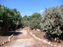 Снова в Испанию, или прогулки по Майорке. День 4.