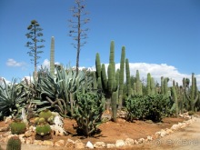 Снова в Испанию, или прогулки по Майорке. День 4.