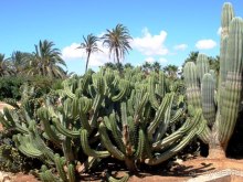 Снова в Испанию, или прогулки по Майорке. День 4.