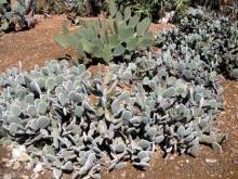 Снова в Испанию, или прогулки по Майорке. День 4.